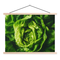 Groente - Sla - Groen textielposter latten blank klein -3d