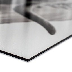 a-spatscherm-closeup-541a.png