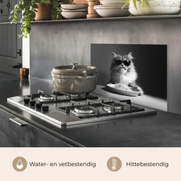 Langharige kat - Zonnebril - Spaghetti - Humor - Zwart - wit keuken achterwand spatscherm klein -usp_NL