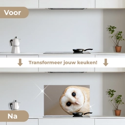 Uil - Bruin - Wit keuken achterwand spatscherm klein -voor_na_NL