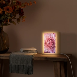 Dahlia - Bloem - Close up - Roze Light Box met kabel (Tafellamp) klein -sfeer4