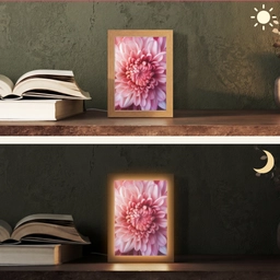 Dahlia - Bloem - Close up - Roze Light Box met kabel (Tafellamp) klein -sfeer3