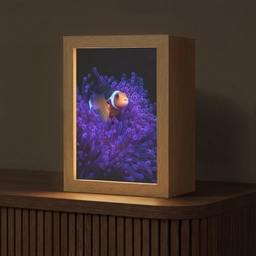 Koraal - Vis - Oranje - Zee Light Box met kabel (Tafellamp) klein -z3d_website