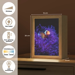 Koraal - Vis - Oranje - Zee Light Box met kabel (Tafellamp) klein -USP_NL