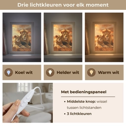 Leeuwen - Zonsondergang - Afrika - Savanne - Dieren Light Box met kabel (Tafellamp) klein -USP_lichtkleurNL