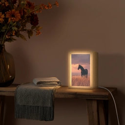 Paard - Wolken - Open veld Light Box met kabel (Tafellamp) klein -sfeer4