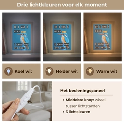 Vogel - Decoratie - Ijsvogel - Blauw Light Box met kabel (Tafellamp) klein -USP_lichtkleurNL