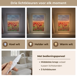 Zonsondergang - Klaprozen - Rood - Bloemen - Veld - Natuur Light Box met kabel (Tafellamp) klein -USP_lichtkleurNL