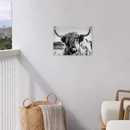 Koe - Schotse hooglander - Zwart - Wit - Dier - Natuur - Wild tuinposter los doek klein -sfeer8