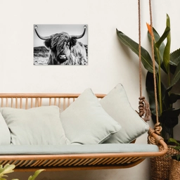 Koe - Schotse hooglander - Zwart - Wit - Dier - Natuur - Wild tuinposter los doek klein -sfeer7