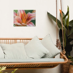 Lelie - Close up - Lichtroze tuinposter los doek klein -sfeer7