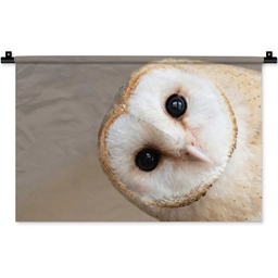 Uil - Bruin - Wit Wandkleed katoen klein -zz3d