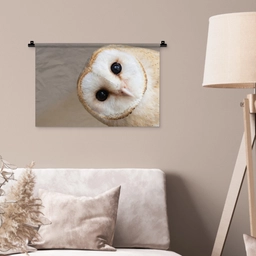 Uil - Bruin - Wit Wandkleed katoen klein -sfeer4