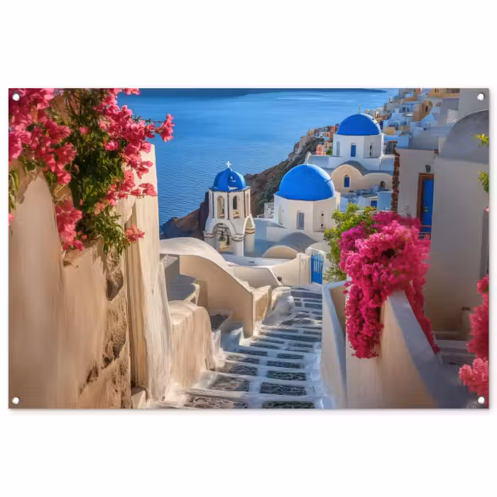 Tuinposter - Santorini - Bloemen - Griekenland