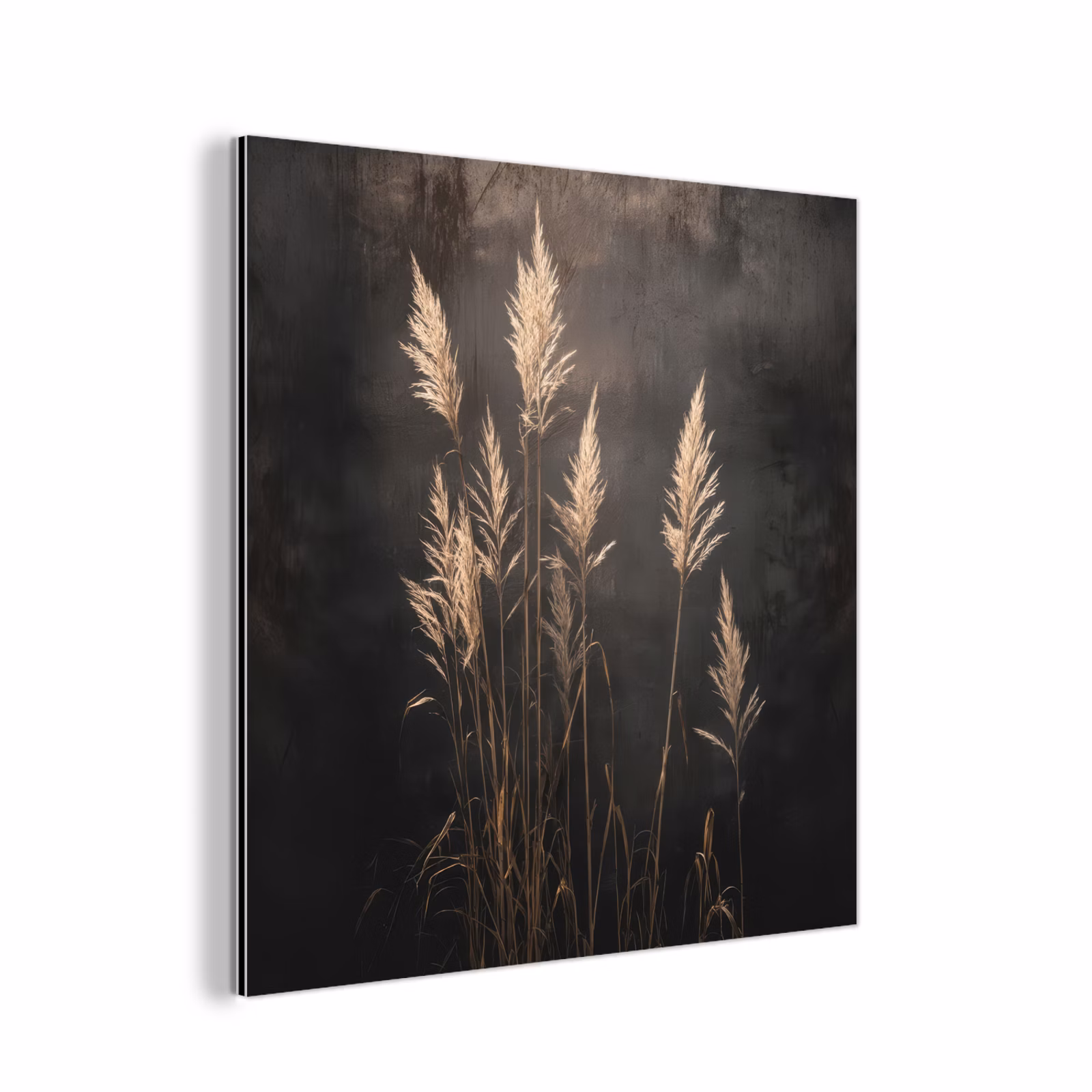 Aluminium schilderij - Siergras - Pluimen - Verlichting - Zwart — 1