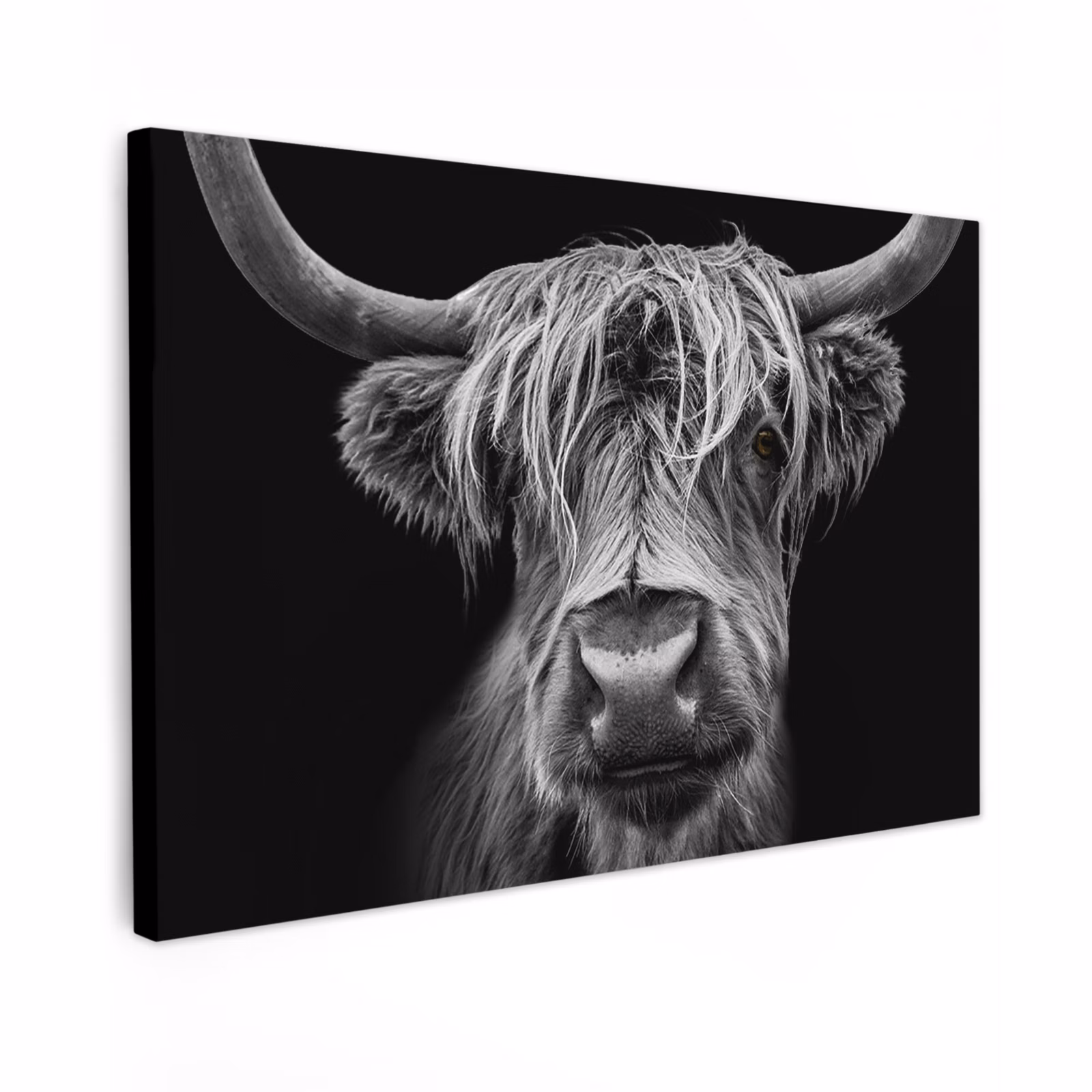 Buiten canvas - Hooglander in Zwart-Wit — 1
