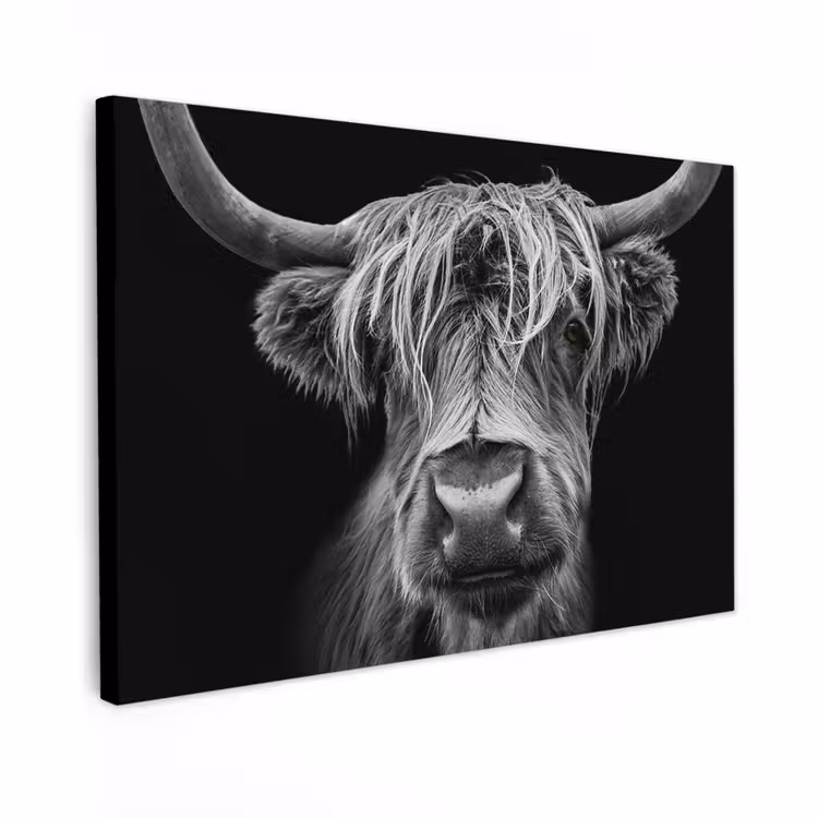 Buiten canvas - Hooglander in Zwart-Wit — 1