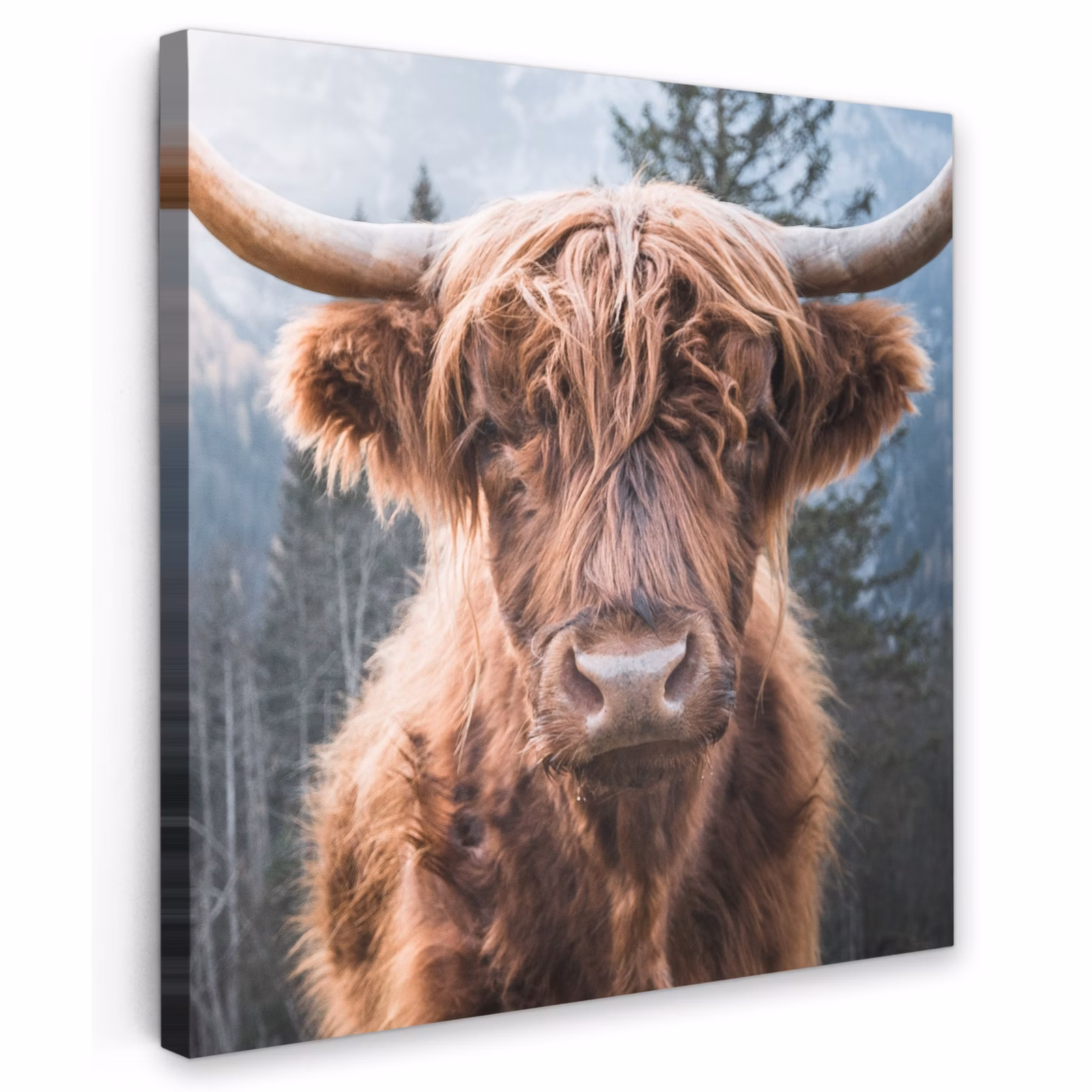Buiten canvas - Imposante Hooglander in de Natuur — 1