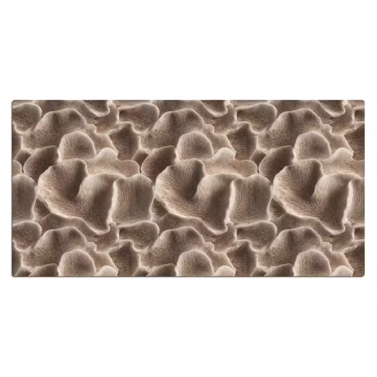 Bureau onderlegger - Waaiervorm - Beige - Vezel textuur — 2