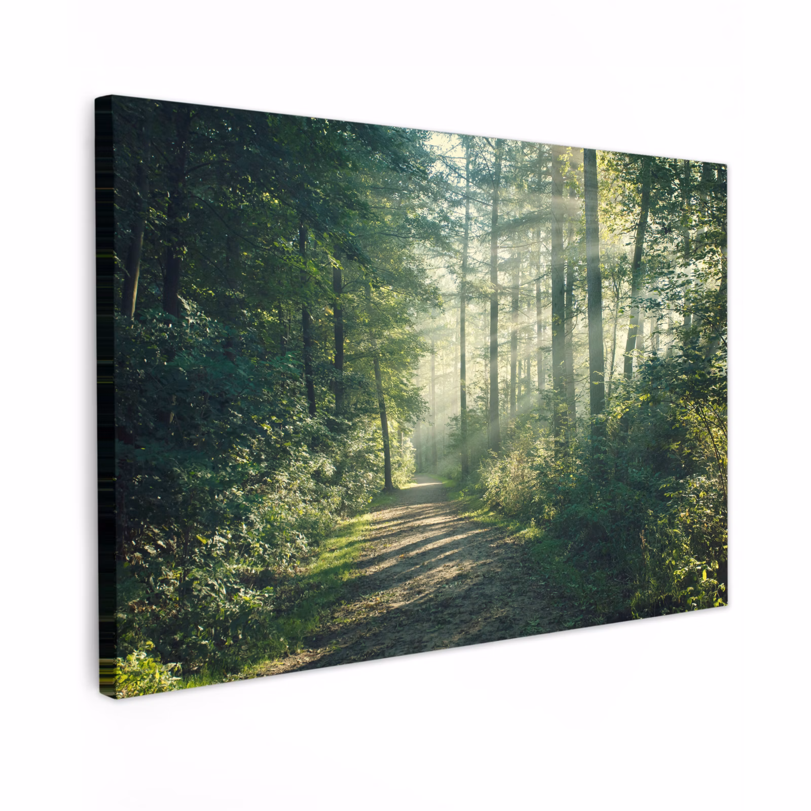 Canvas schilderij - Bos - Pad - Zon - Bomen - Groen - Natuur — 1