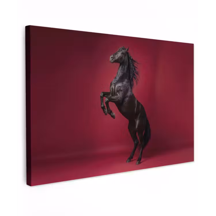 Canvas schilderij - Hengst - Steigert - Rood — 1