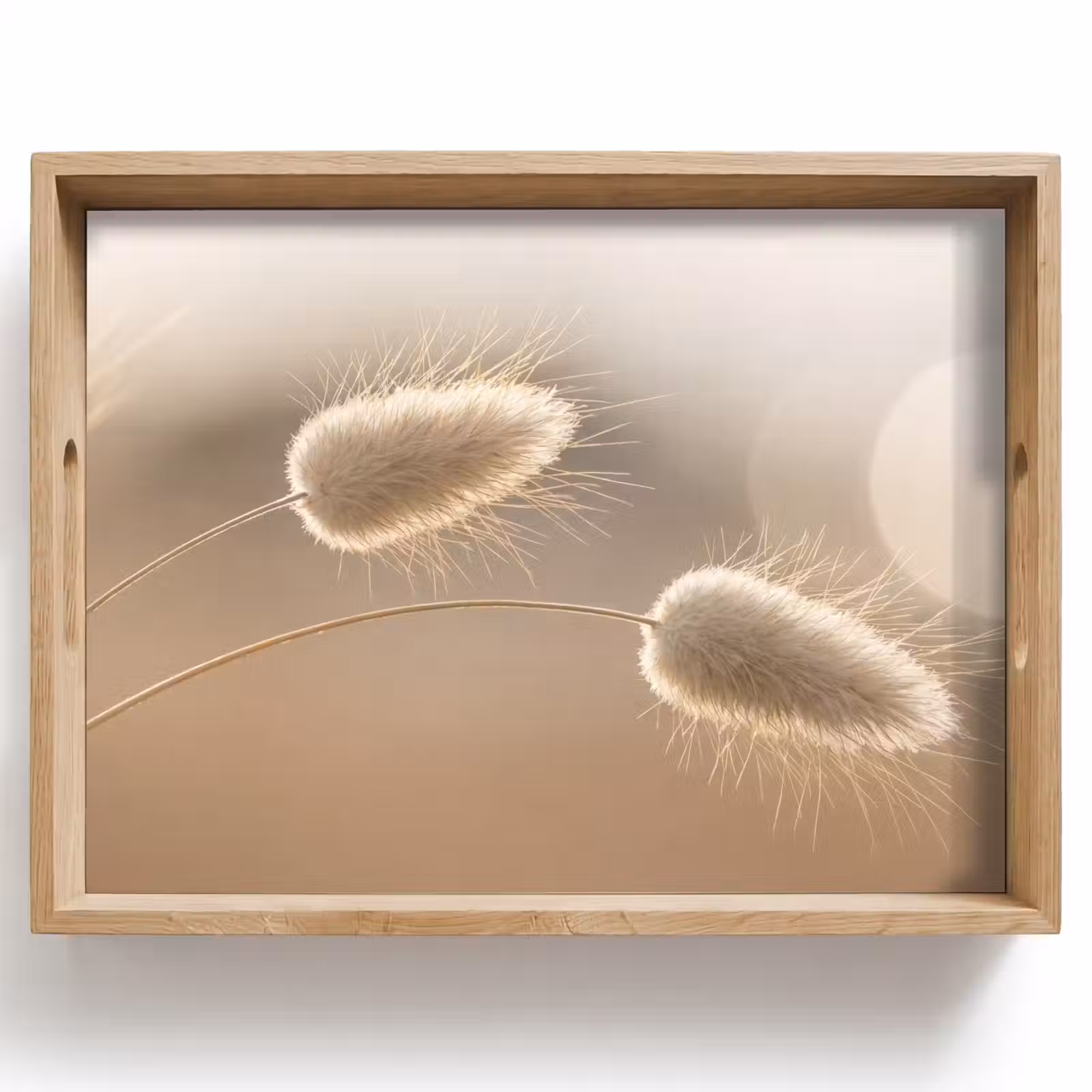 Dienblad - Hazestaartgras - Graanharen - Zonlicht — 1