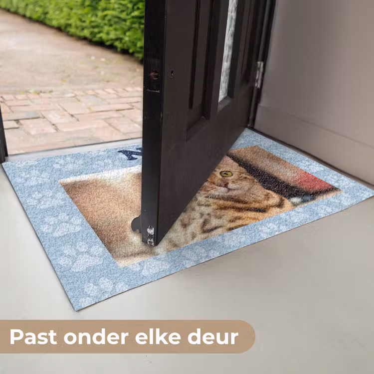 Deurmat - Pootjesachtergrond — 6