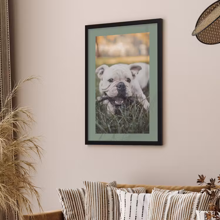 Foto in lijst - Gekleurde border — 2