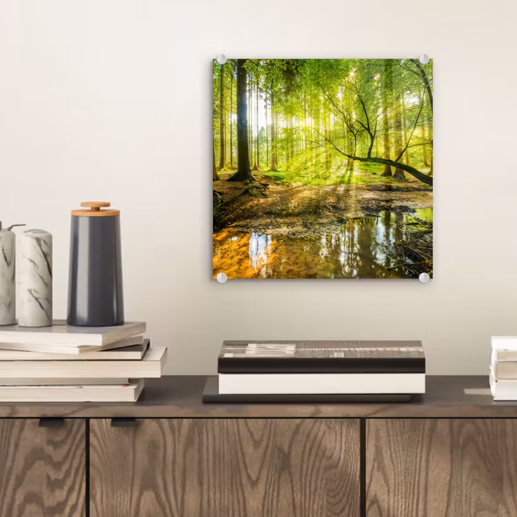 Glas schilderij - Bos - Landschap - Water - Bomen - Zon - Groen - Natuur — 2