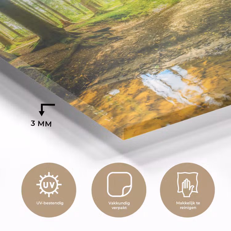 Glas schilderij - Bos - Landschap - Water - Bomen - Zon - Groen - Natuur — 3