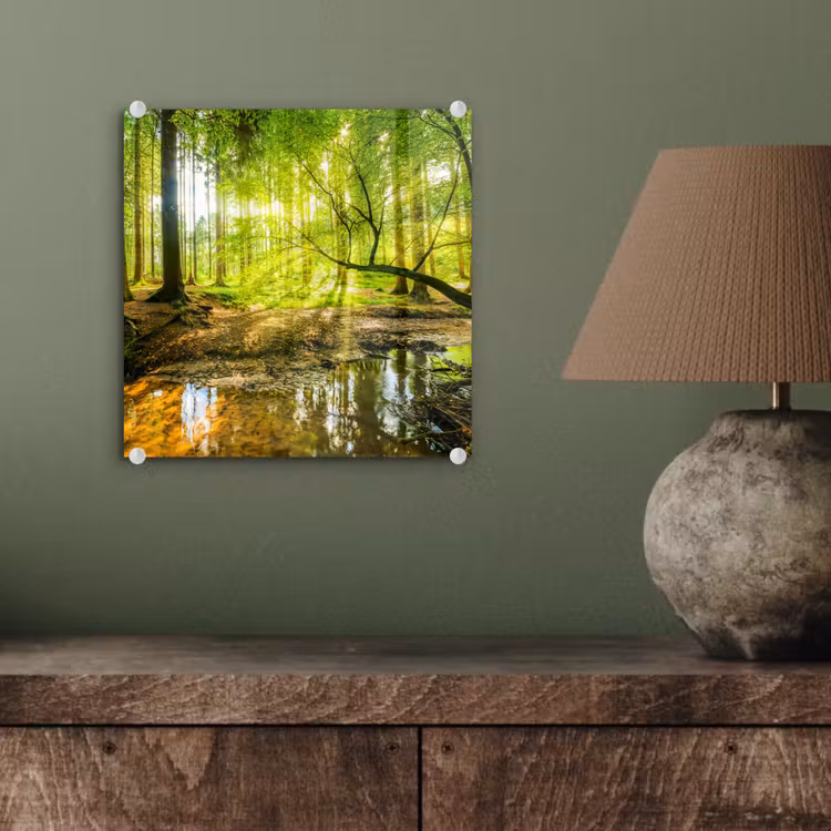 Glas schilderij - Bos - Landschap - Water - Bomen - Zon - Groen - Natuur — 4