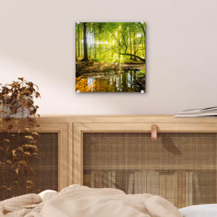 Glas schilderij - Bos - Landschap - Water - Bomen - Zon - Groen - Natuur — 5