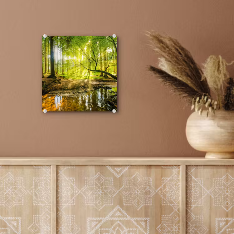 Glas schilderij - Bos - Landschap - Water - Bomen - Zon - Groen - Natuur — 6