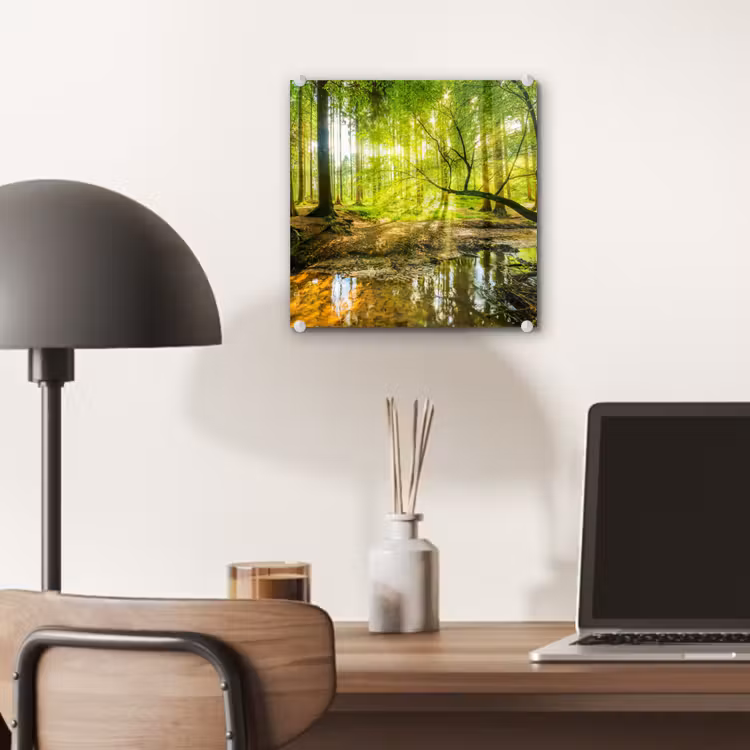 Glas schilderij - Bos - Landschap - Water - Bomen - Zon - Groen - Natuur — 7