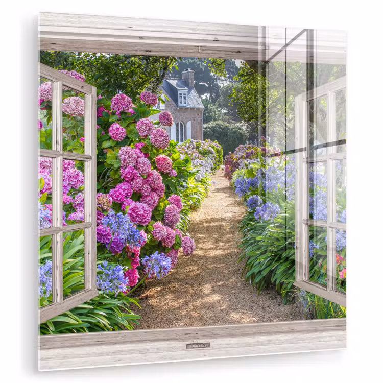Glas schilderij - Hortensia - Doorkijk - Bloemen - Zomer - Paars - Pad — 1