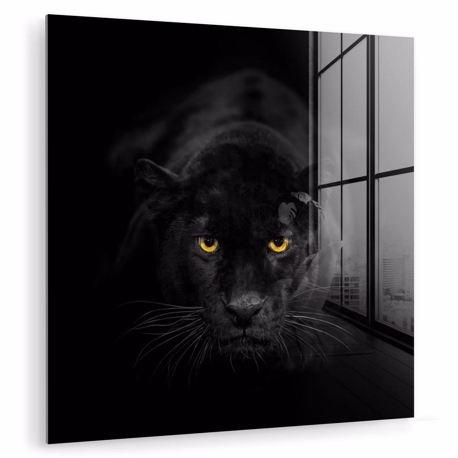Glas schilderij - Panter - Dieren - Zwart - Ogen — 1