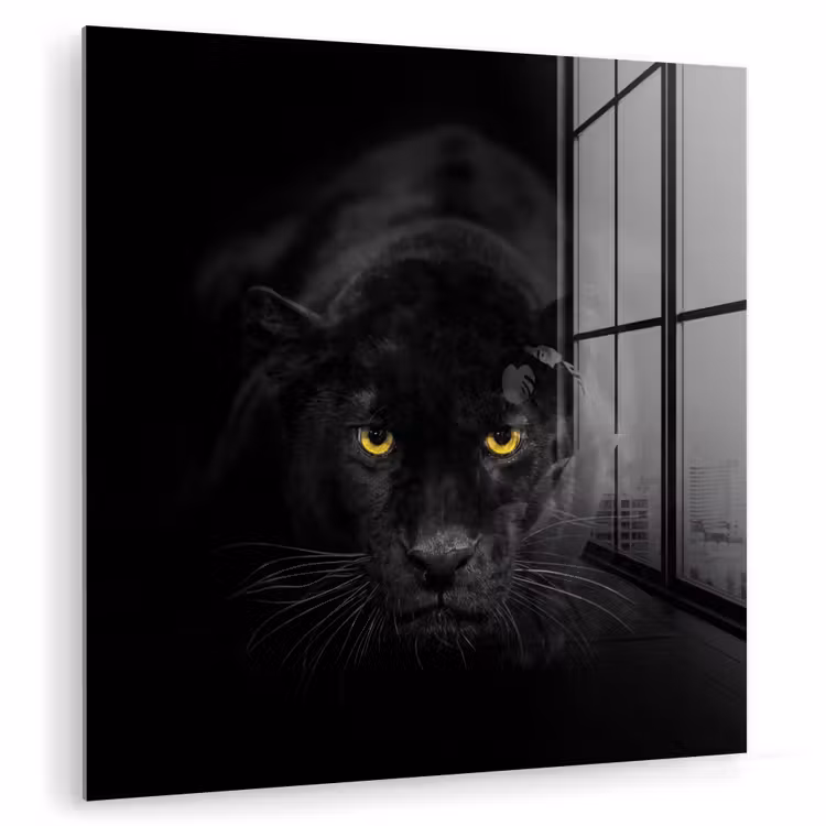 Glas schilderij - Panter - Dieren - Zwart - Ogen — 1