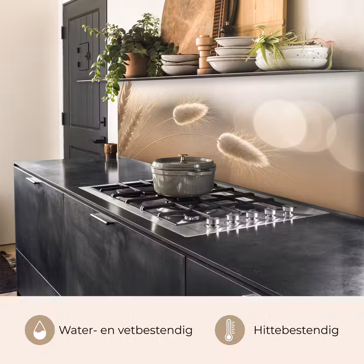 Keuken achterwand - Hazestaartgras - Graanharen - Zonlicht — 5
