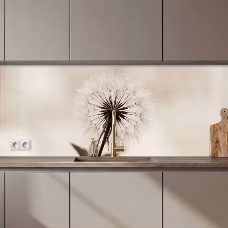 Keuken achterwand - Paardenbloem - Minimalistisch - Wit — 1