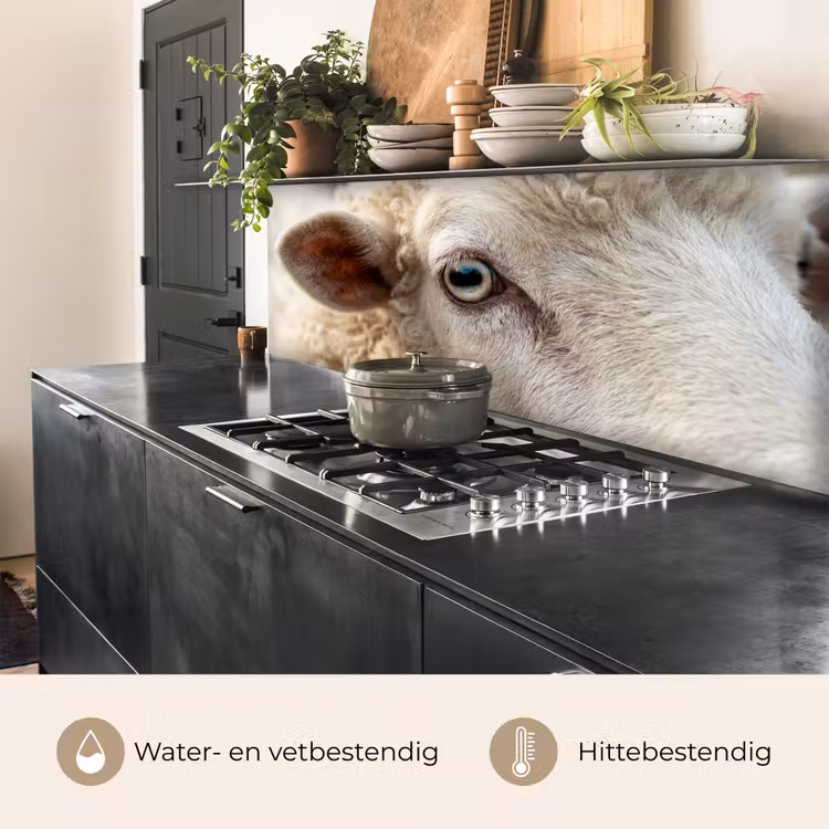 Keuken achterwand - Schaap - Oog - Wit — 5