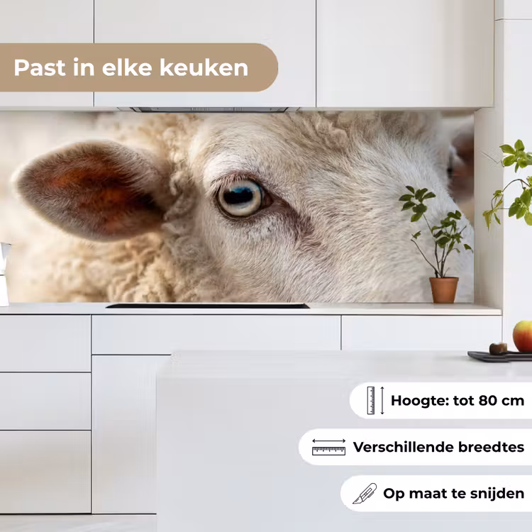 Keuken achterwand - Schaap - Oog - Wit — 7
