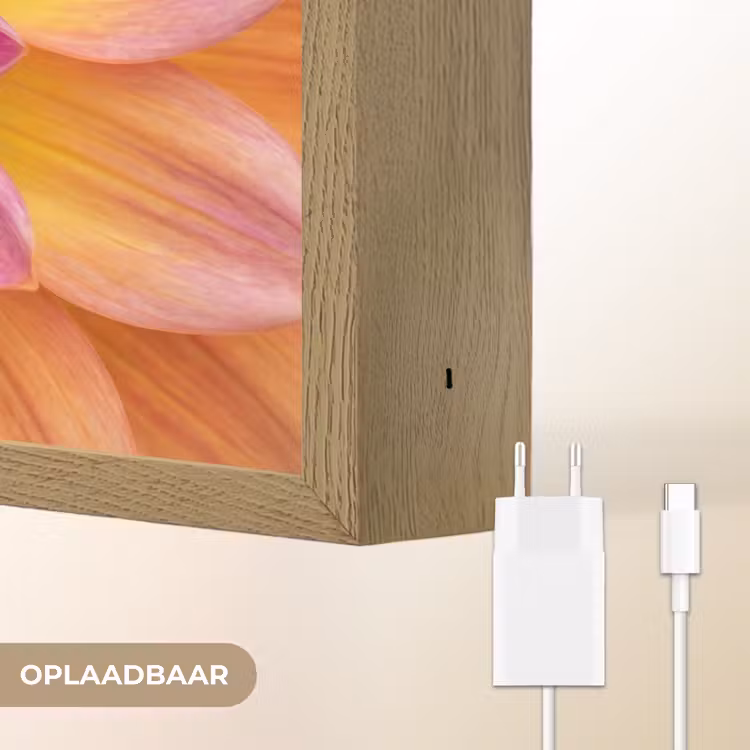 Lightbox - Wandlamp - Dahlia - Bloem - Oranje — 7