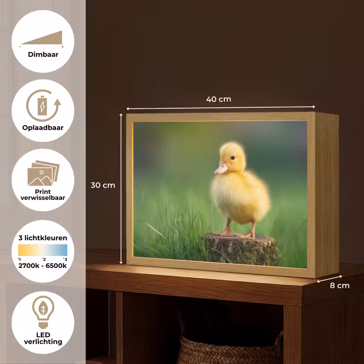 Lightbox - Wandlamp kinderkamer - Kuiken - Eend - Geel - Gras — 10