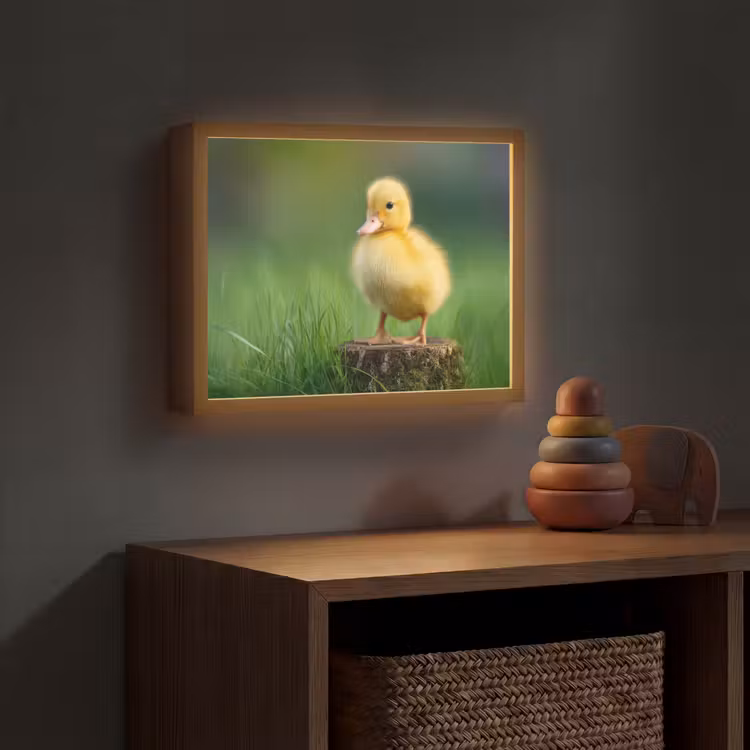 Lightbox - Wandlamp kinderkamer - Kuiken - Eend - Geel - Gras — 4