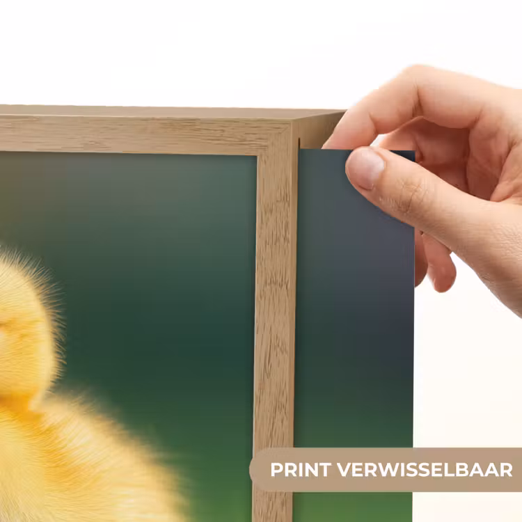 Lightbox - Wandlamp kinderkamer - Kuiken - Eend - Geel - Gras — 5
