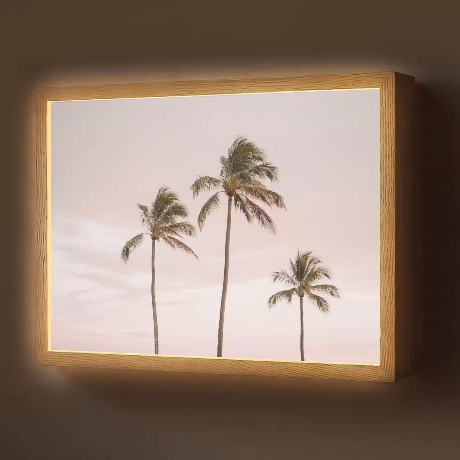 Lightbox - Wandlamp - Palmbomen - Zonsondergang - Roze — 1