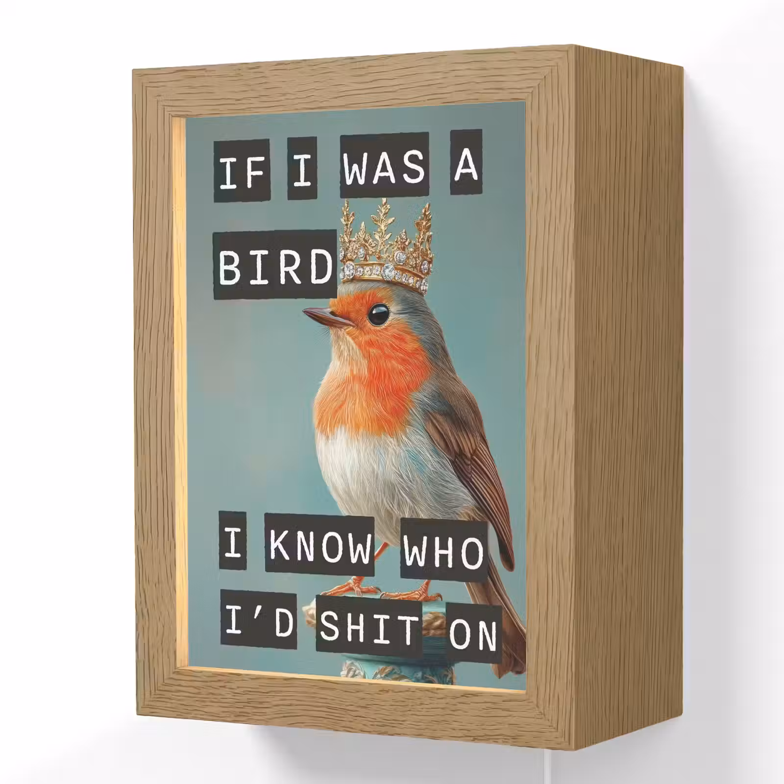 Lightbox - Wandlamp - Roodborstje - Vogel - Blauw - Decoratie — 1