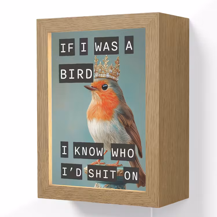 Lightbox - Wandlamp - Roodborstje - Vogel - Blauw - Decoratie — 1