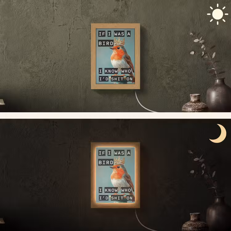 Lightbox - Wandlamp - Roodborstje - Vogel - Blauw - Decoratie — 3