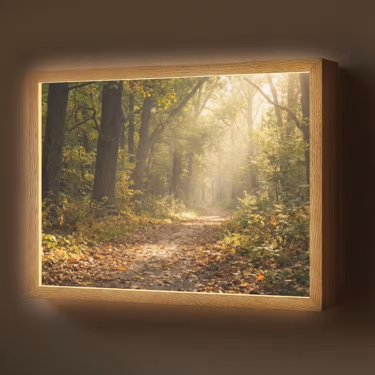 Lightbox - Wandlamp - Zonlicht - Bospad - Bomen — 1